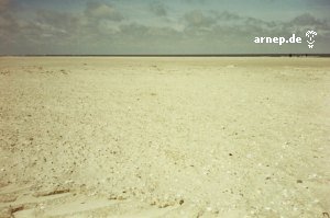 &copy; arnep.de